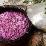 صنعت گلاب گیری در ایران سابقه چندهزار ساله دارد.